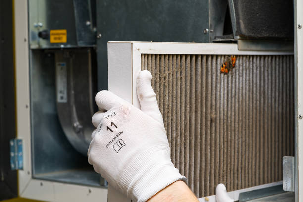 Best Air Duct Cleaning Near Me  in Kingsville, MD